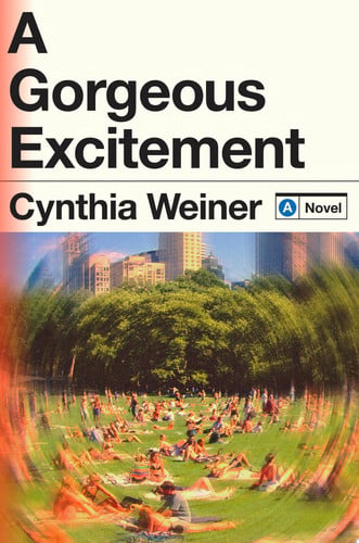 Portada de A Gorgeous Excitement A Novel